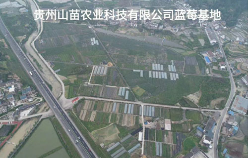 贵州山苗农业科技有限公司