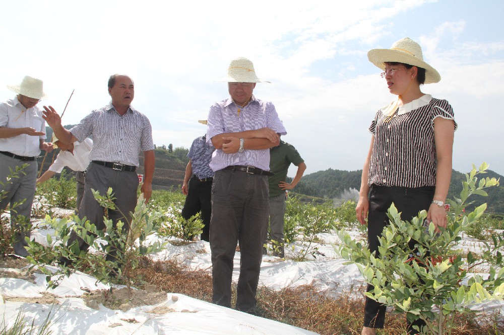 时任贵州副省长王江平