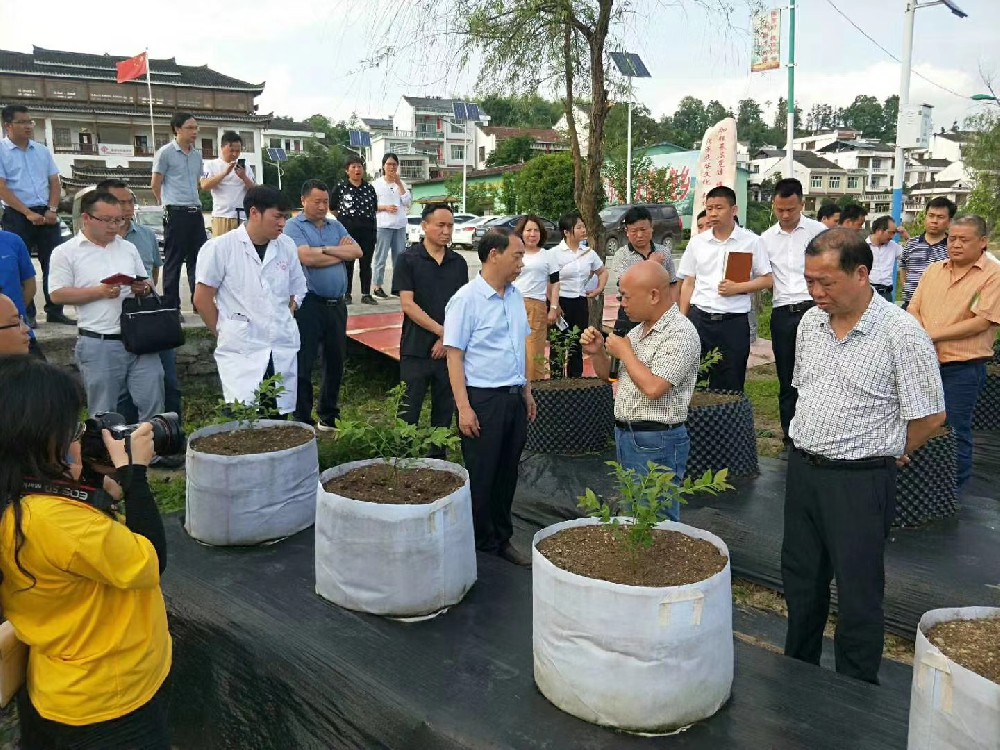 县委书记带团来访